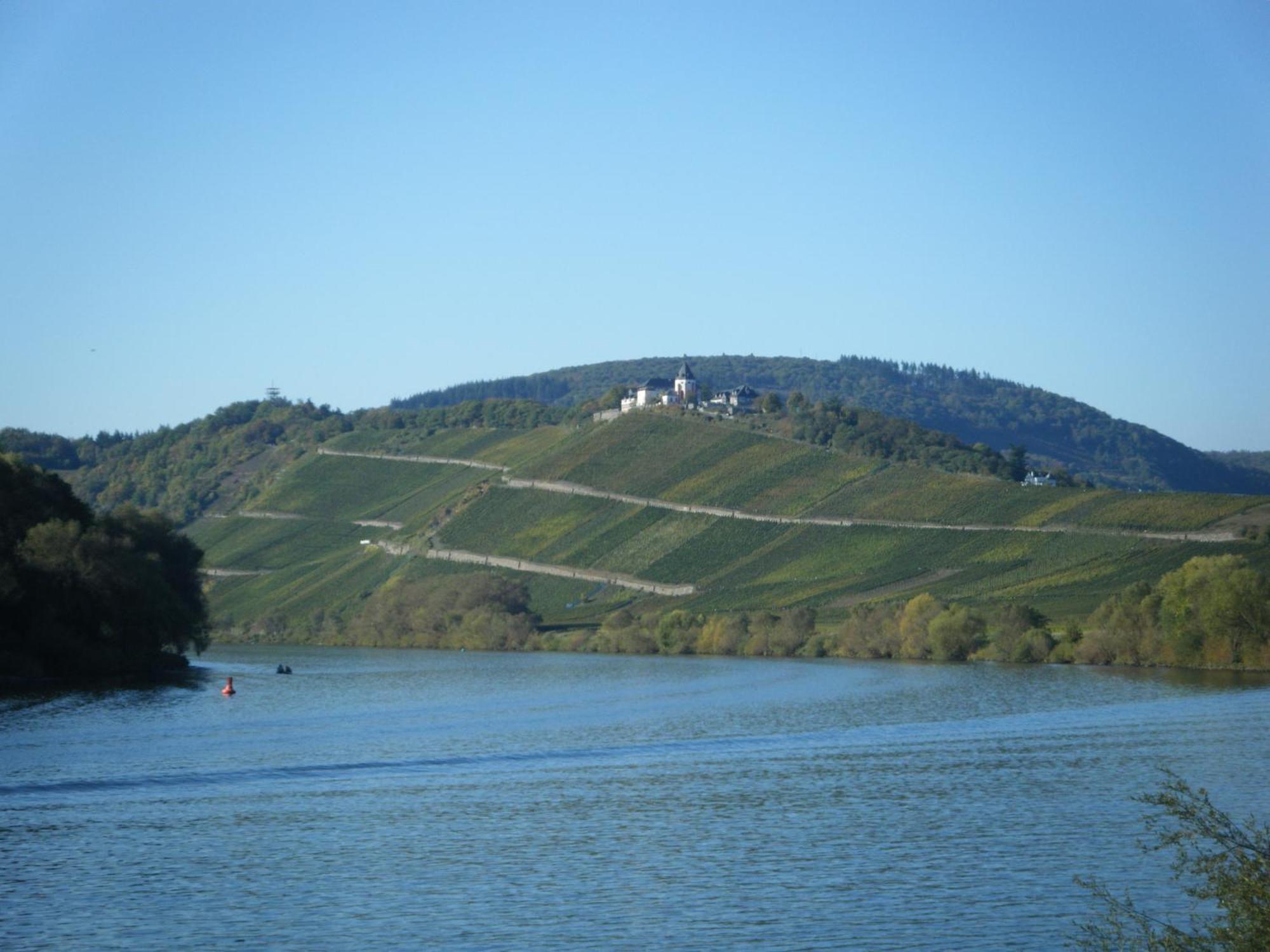 Ferienweingut Hensler Hotel Briedel Ngoại thất bức ảnh