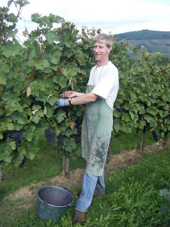 Ferienweingut Hensler Hotel Briedel Ngoại thất bức ảnh